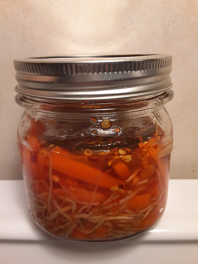 canned springbank kimchi